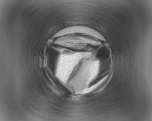 X0000080740190200701051154