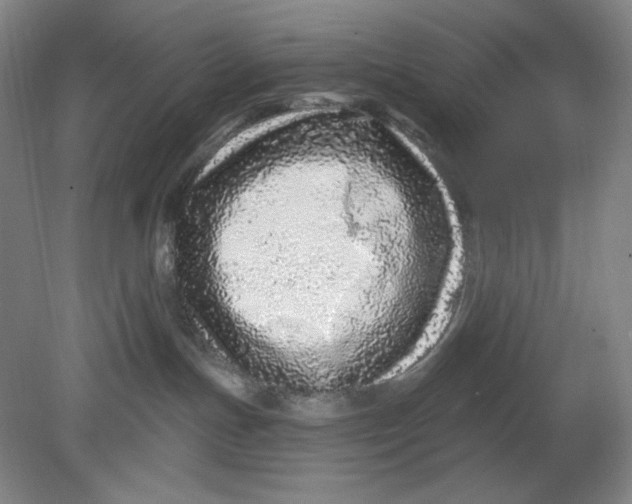 X0000080740191200701051154