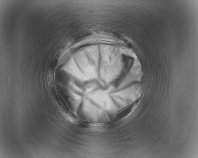 X0000080740192200701051154