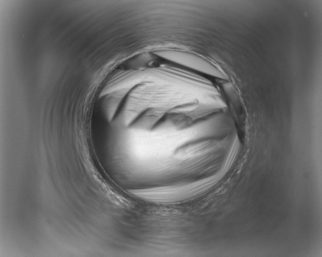 X0000080740193200701051153