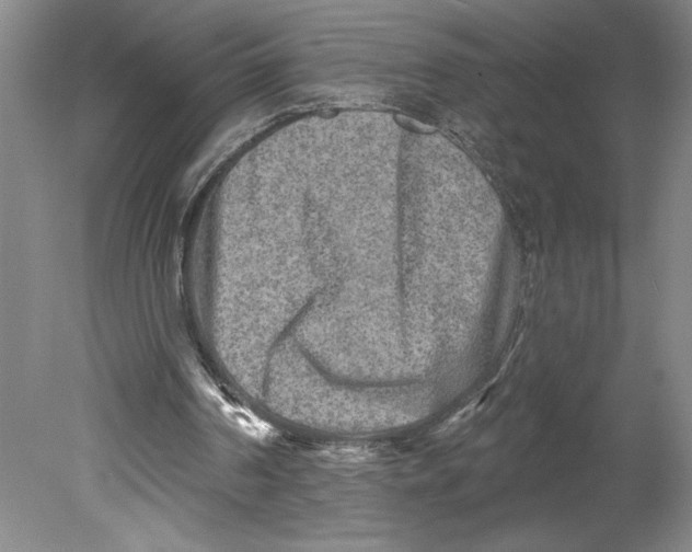 X0000080740194200701051153