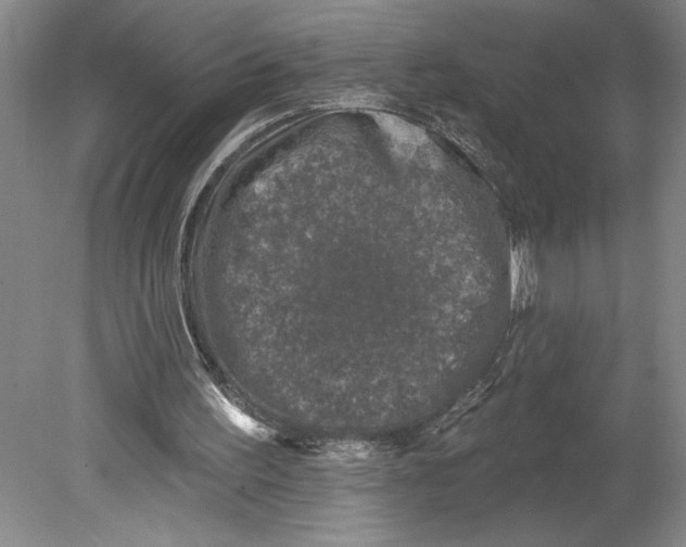 X0000080740195200701051153