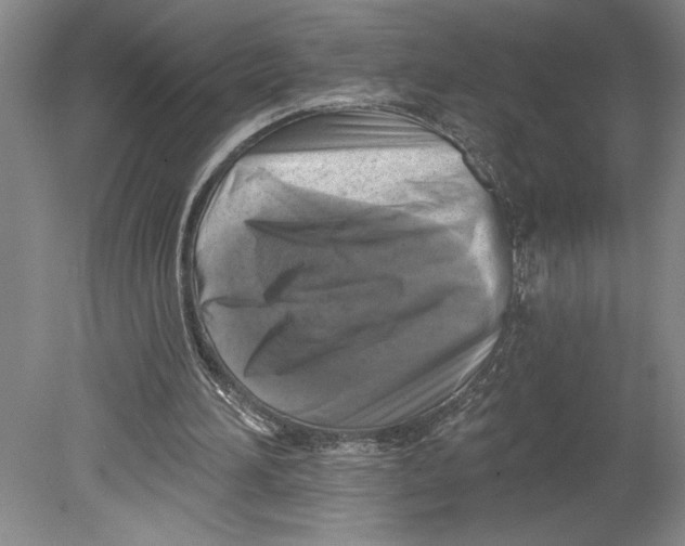 X0000080740196200701051153