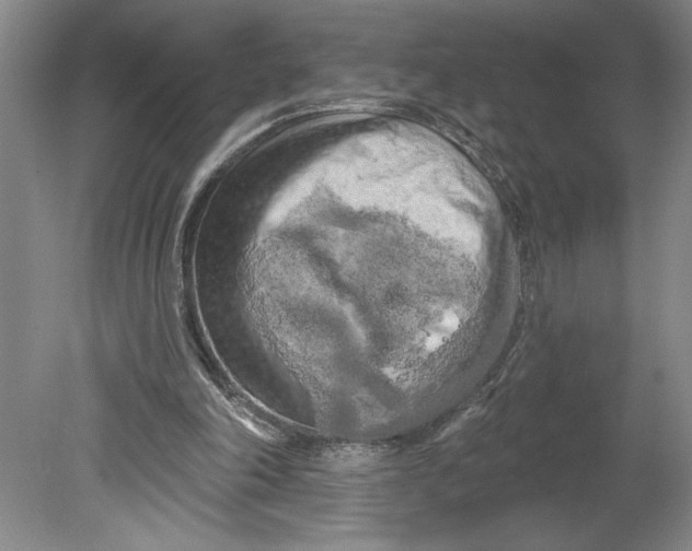 X0000080740198200701051153