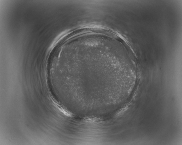 X0000080740199200701051153