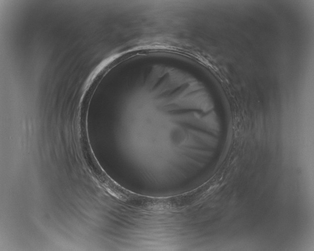 X0000080740200200701051153