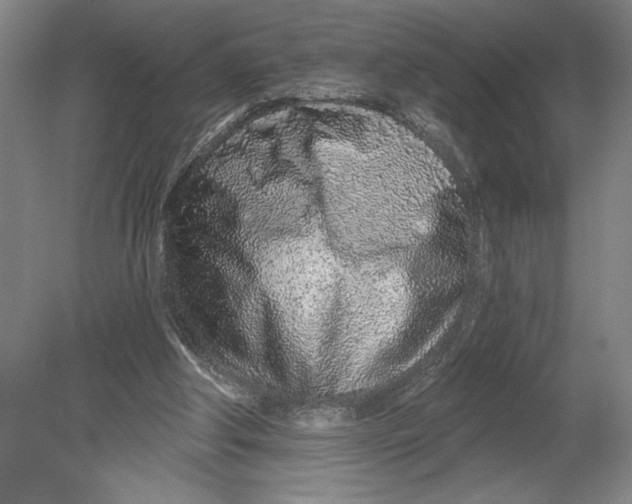 X0000080740202200701051153