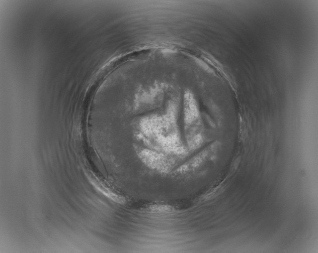 X0000080740203200701051153