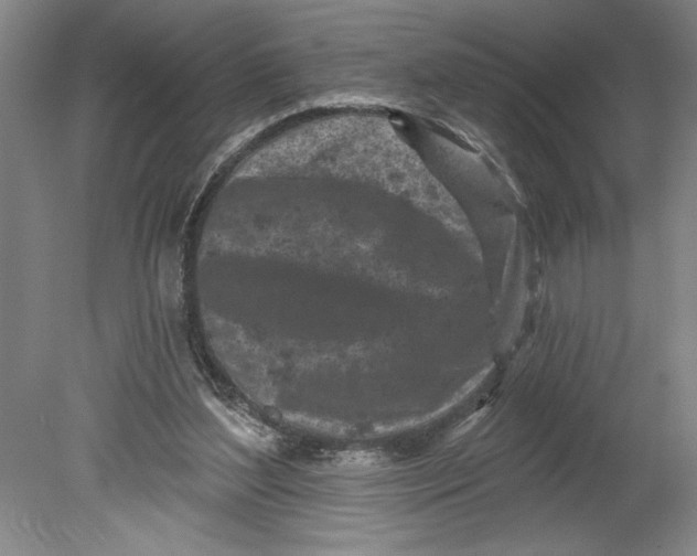 X0000080740204200701051153