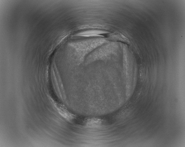 X0000080740206200701051153