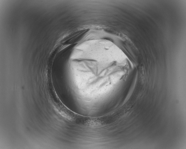 X0000080740207200701051153