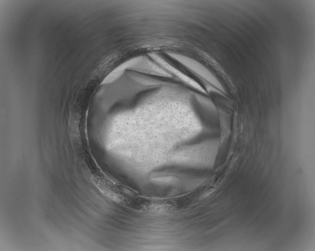 X0000080740209200701051153