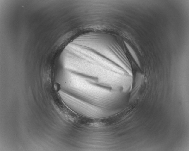 X0000080740212200701051153