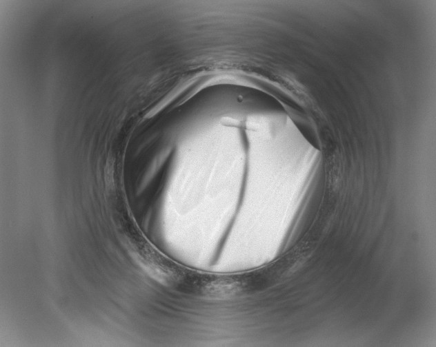 X0000080740213200701051153