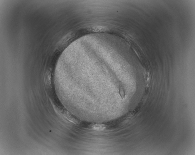 X0000080740214200701051153