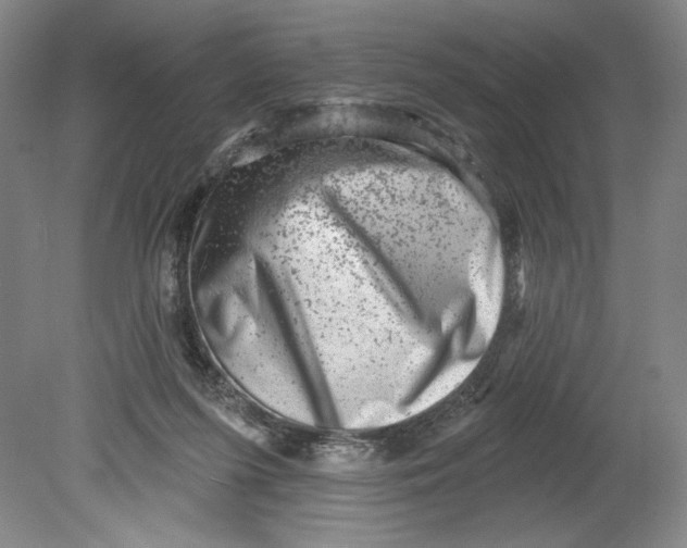 X0000080740215200701051153