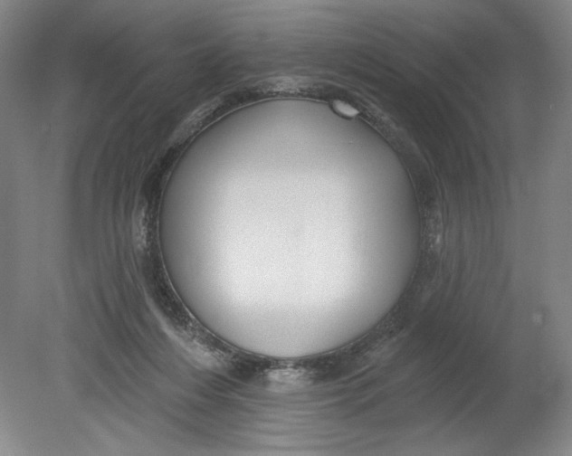 X0000080740216200701051153