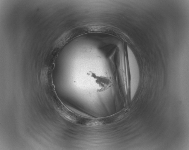 X0000080740217200701051153