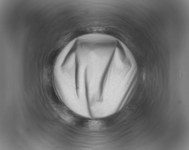 X0000080740218200701051153