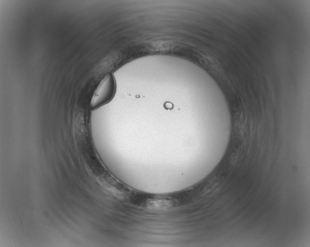 X0000080740220200701051153