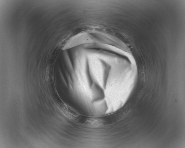 X0000080740221200701051153