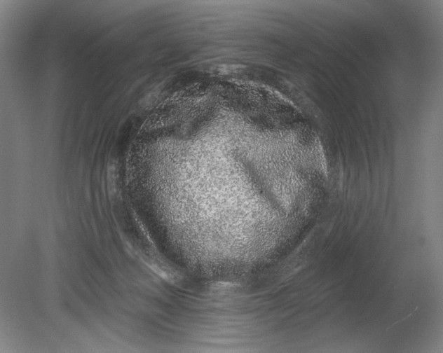 X0000080740222200701051153