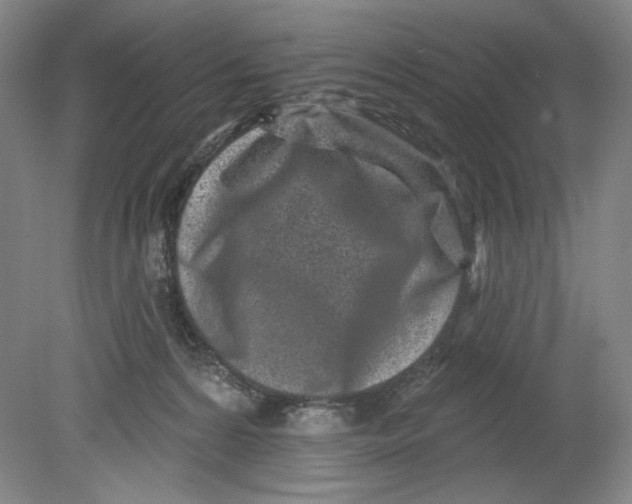 X0000080740224200701051153