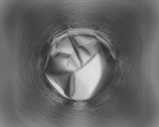 X0000080740225200701051153