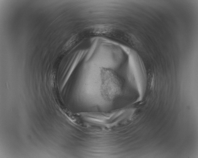 X0000080740227200701051153