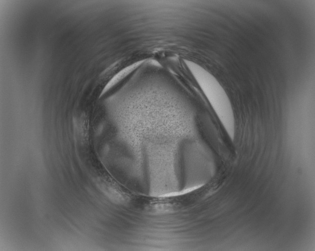 X0000080740228200701051153