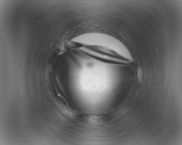 X0000080740229200701051153