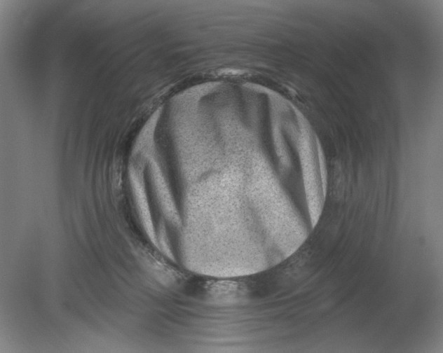 X0000080740230200701051153