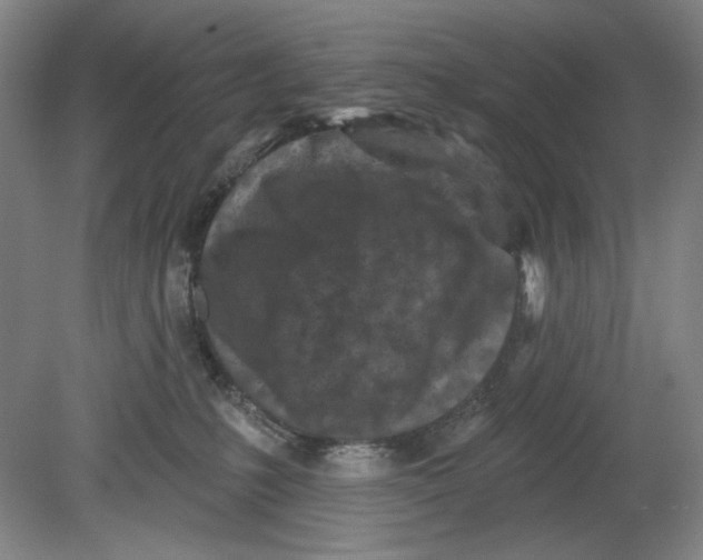 X0000080740231200701051153