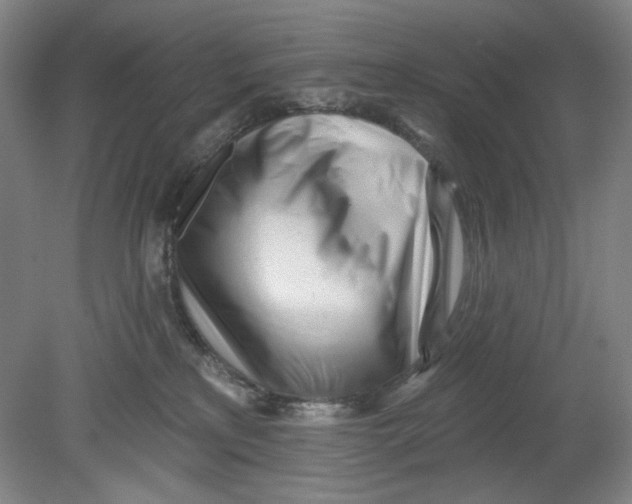 X0000080740233200701051153