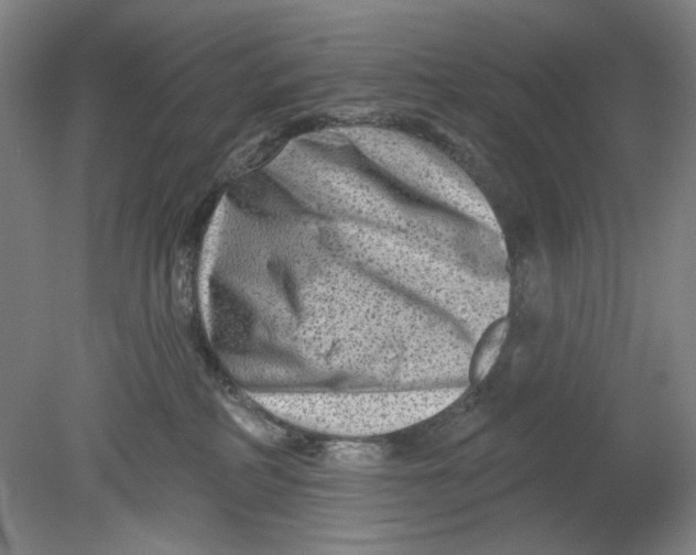 X0000080740234200701051153