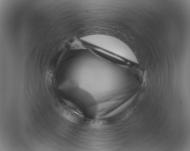 X0000080740235200701051153