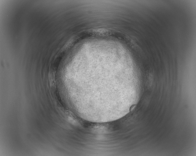 X0000080740236200701051152