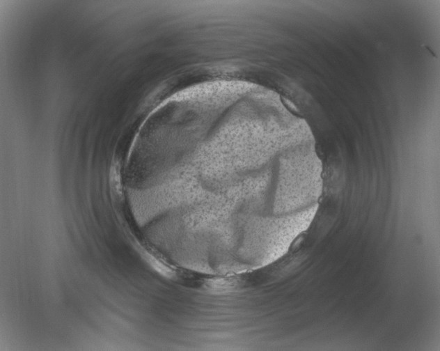 X0000080740238200701051152