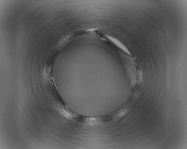 X0000080740239200701051152