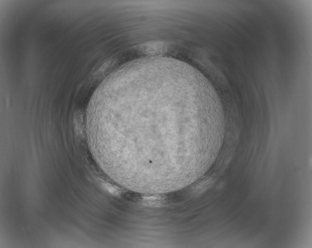 X0000080740240200701051152