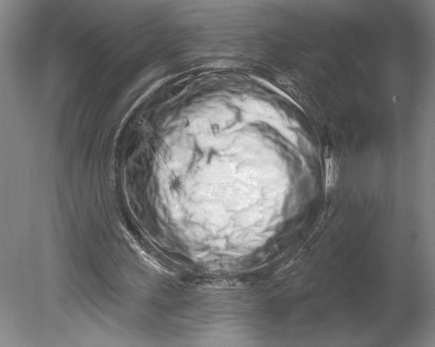 X0000080740243200701051152