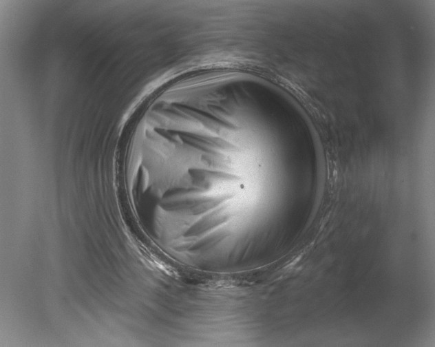 X0000080740244200701051152