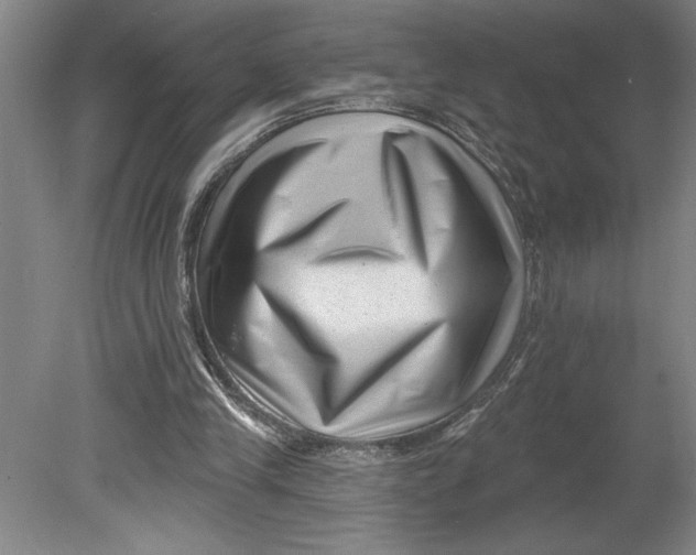 X0000080740245200701051152