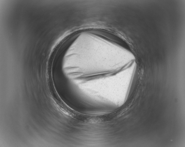 X0000080740248200701051152