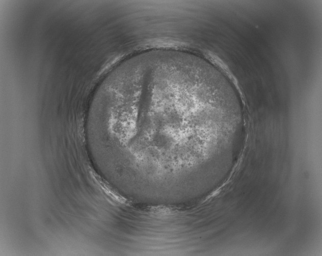 X0000080740249200701051152