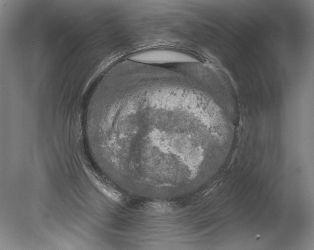 X0000080740250200701051152