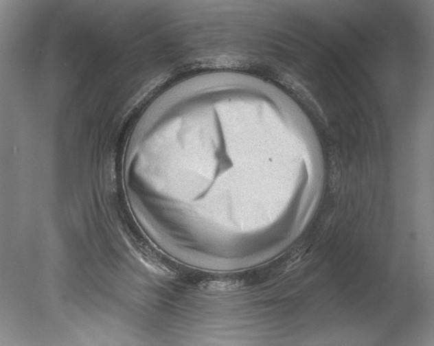 X0000080740251200701051152