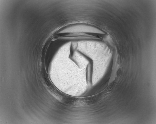 X0000080740252200701051152