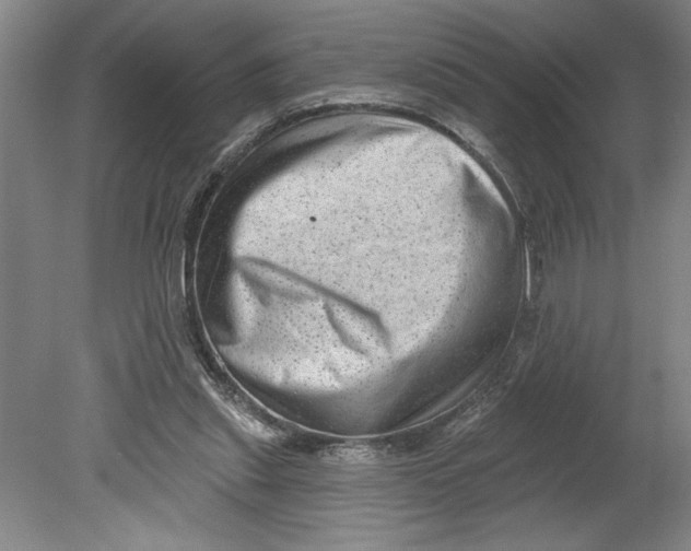 X0000080740253200701051152