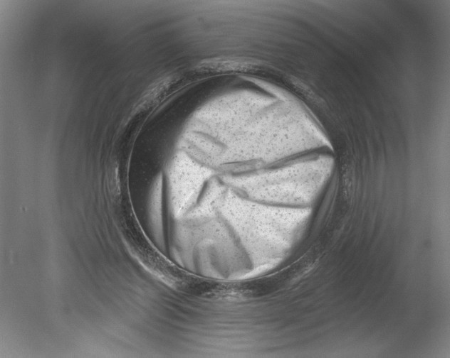 X0000080740254200701051152